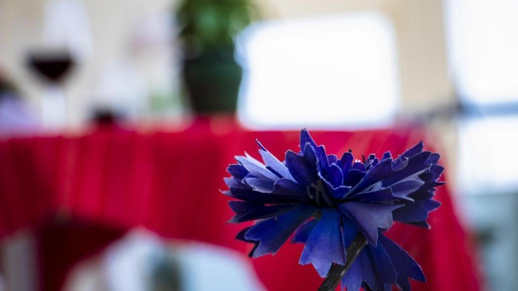 Evas House Apartment Rethymno  Bagian luar foto